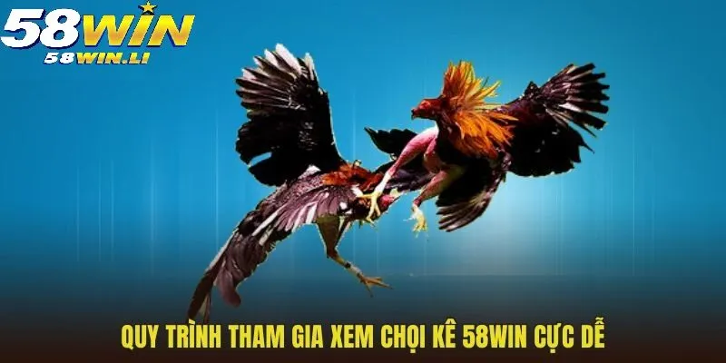 Đá Gà 58win 3 Quy trình tham gia xem chọi kê 58WIN cực dễ